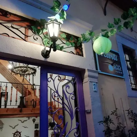 Kispet Marti Boutique ゲストハウス