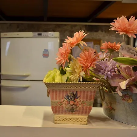 Konukevi Martı Boutique Ayvalı