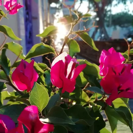 Kispet Marti Boutique Penzion