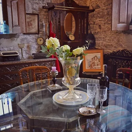Πανσιόν Kispet Marti Boutique *